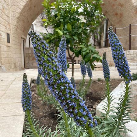 Lamanna House Polignano a Mare Dış mekan fotoğraf