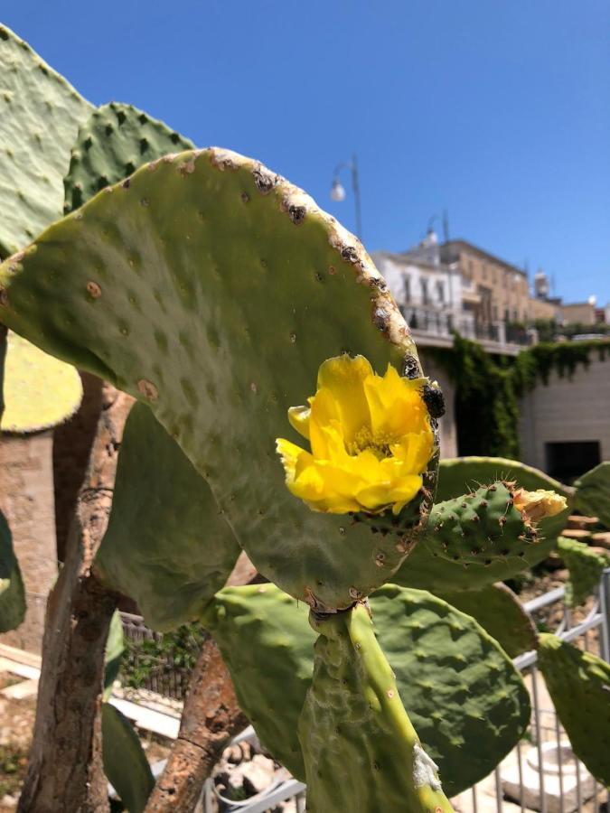 Lamanna House Polignano a Mare Dış mekan fotoğraf